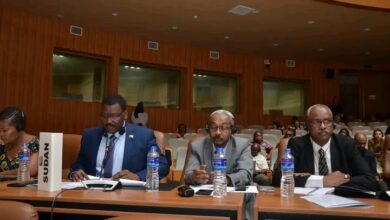 بسبب غياب السند القانوني.. السودان يرفض "إعلان بانجول" وينتقد تقرير لجنة تقصي الحقائق الأفريقية 3 1778610970409