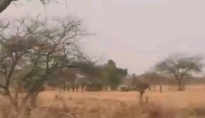 1780231739770