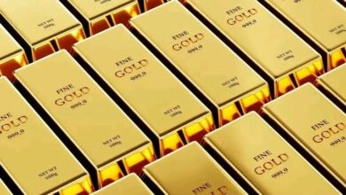 الحكومة تقر إجراءات حاسمة لتنظيم التنقيب عن الذهب.. إليك التفاصيل 2 1781017387623