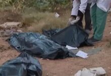 بسبب جوال فول.. قائد بمليشيا الدعم السريع يصفي أسرة بدم بارد في غرب كردفان 13 1781035521487