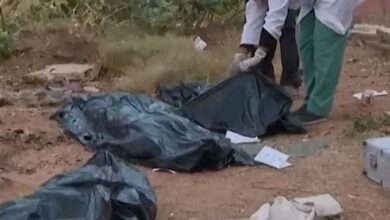 بسبب جوال فول.. قائد بمليشيا الدعم السريع يصفي أسرة بدم بارد في غرب كردفان 3 1781035521487
