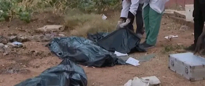 بسبب جوال فول.. قائد بمليشيا الدعم السريع يصفي أسرة بدم بارد في غرب كردفان 1 1781035521487