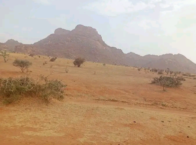 IMG ٢٠٢٦٠٦٢٢ ٢٢٢٦٢٥