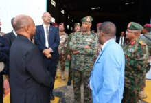 توجيهات جديدة لإحياء طاقة جياد الإنتاجية 2 FB IMG 1788115233106