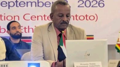 السودان في ورشة إقليمية لمكافحة الألغام بأديس أبابا 9 1788535324526