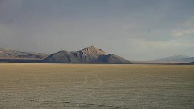 إحباط جريمة غامضة في صحراء الشمالية 2 IMG 20260901 WA0011