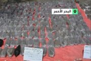 حملة شرطة تضبط مخدرات وهواتف في جبيت المعادن