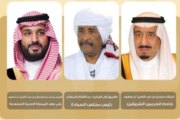 تعزيز العلاقات السعودية: خطوات جديدة نحو التعاون المشترك 14 تعزيز العلاقات السعودية: خطوات جديدة نحو التعاون المشترك