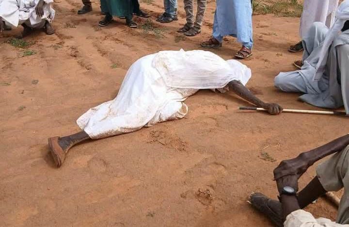 اغتيال مربي الأجيال في قرية كديل بشمال دارفور