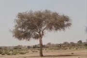 الجيش السوداني يقترب من السيطرة على المزروب