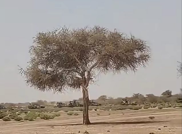 الجيش السوداني يقترب من السيطرة على المزروب 1 الجيش السوداني يقترب من السيطرة على المزروب