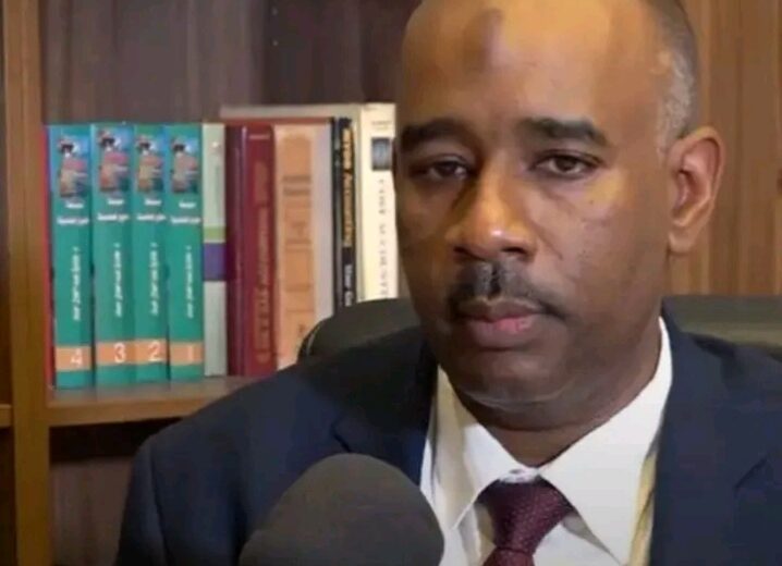 حراك دبلوماسي مكثف في القاهرة خلال الحوار السوداني