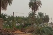 أمطار شمالية ت disrupt الخدمات وتسبب الفوضى