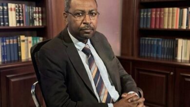 أمجد فريد ينفي اتهامات استخدام الأسلحة الكيميائية بالسودان 1 amjed farid