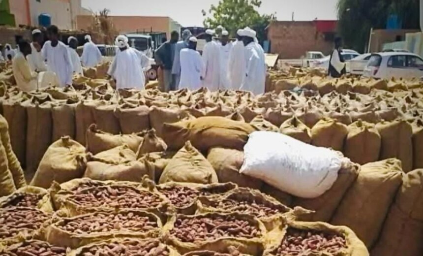 تغيرات مفاجئة في أسعار البلح بالشمالية 1 تغيرات مفاجئة في أسعار البلح بالشمالية