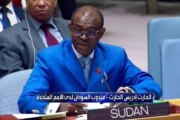 دعوة حكومية لتدخل دولي بشأن تأشيرة البرهان
