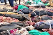 غارات جوية مصرية على منجم في السودان تسفر عن casualties 13 غارات جوية مصرية على منجم في السودان تسفر عن casualties