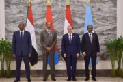 نتائج قمة العلمين في قضايا متشابكة