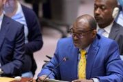 تمديد جديد لحظر السلاح في دارفور بجهود دبلوماسية السودانية 11 تمديد جديد لحظر السلاح في دارفور بجهود دبلوماسية السودانية