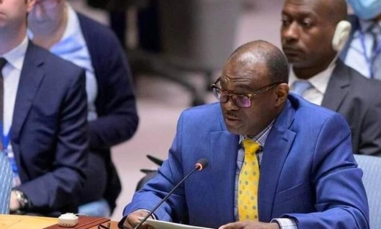 تمديد جديد لحظر السلاح في دارفور بجهود دبلوماسية السودانية 1 تمديد جديد لحظر السلاح في دارفور بجهود دبلوماسية السودانية