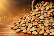 وزير الزراعة يبتعد عن مسؤولية حظر استيراد الفول