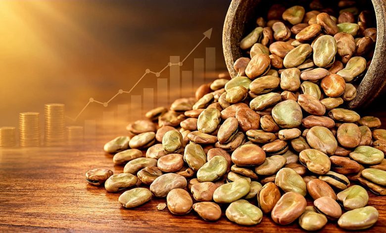 وزير الزراعة يبتعد عن مسؤولية حظر استيراد الفول 1 وزير الزراعة يبتعد عن مسؤولية حظر استيراد الفول