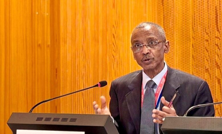 عودة طوعية ضخمة للاجئين السودانيين تثير الانتباه 1 عودة طوعية ضخمة للاجئين السودانيين تثير الانتباه