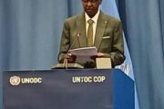 دعوة لتعزيز التعاون الدولي ضد الجريمة في مناطق النزاع