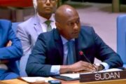 السودان يبدد آمال ترشيح إماراتي لمنصب دولي مهم