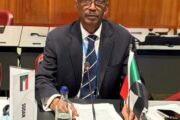 السودان يعيد تمثيله في مجلس دولي بجنيف 14 السودان يعيد تمثيله في مجلس دولي بجنيف