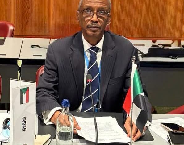السودان يعيد تمثيله في مجلس دولي بجنيف 1 السودان يعيد تمثيله في مجلس دولي بجنيف