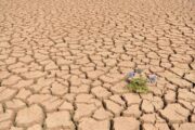 تقرير دولي ينبه حول أزمة الجفاف في البلاد