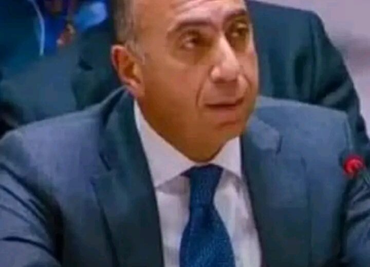 انتقاد مصر لمجلس الأمن بشأن دعم المليشيات المجاورة 1 انتقاد مصر لمجلس الأمن بشأن دعم المليشيات المجاورة