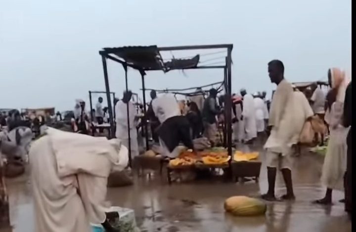 أمطار ولاية الجزيرة تُحدث تغييرات اقتصادية ملحوظة