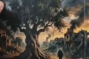 قصص الشجرة أثناء الحروب.. إصدار جديد يثير التساؤلات