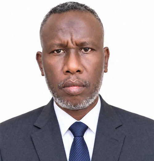 تفوق على باحثي 48 دولة.. عالم سوداني يحصد إنجازاً قارياً رفيعاً في جائزة محمد السادس للعلماء الأفارقة 1 تفوق على باحثي 48 دولة.. عالم سوداني يحصد إنجازاً قارياً رفيعاً في جائزة محمد السادس للعلماء الأفارقة