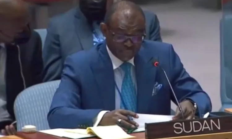 مندوب السودان: نزع السلاح ضرورة لوقف الحرب 1 مندوب السودان: نزع السلاح ضرورة لوقف الحرب