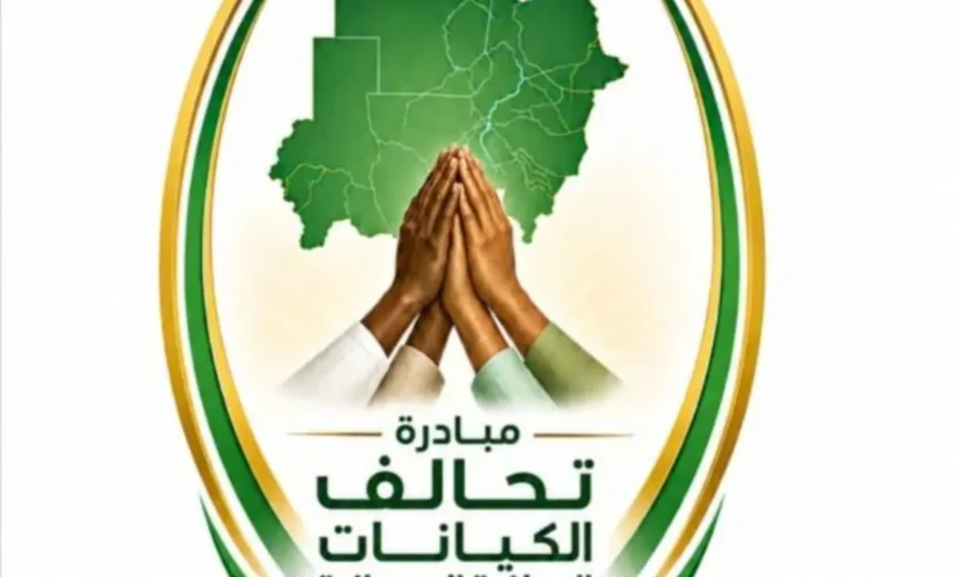 ضربات الطيران المسير تثير تساؤلات حول الأمن الإقليمي