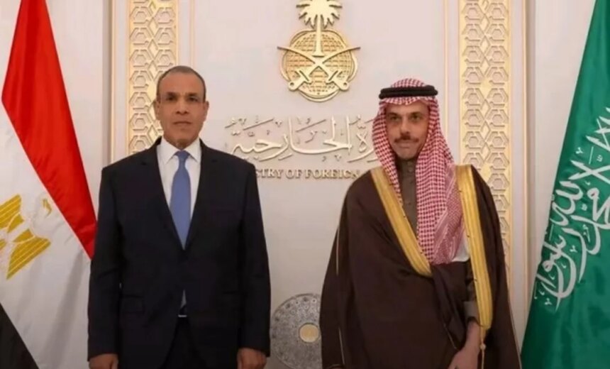 توافق مصري سعودي على دعم سيادة السودان ووحدته 1 توافق مصري سعودي على دعم سيادة السودان ووحدته