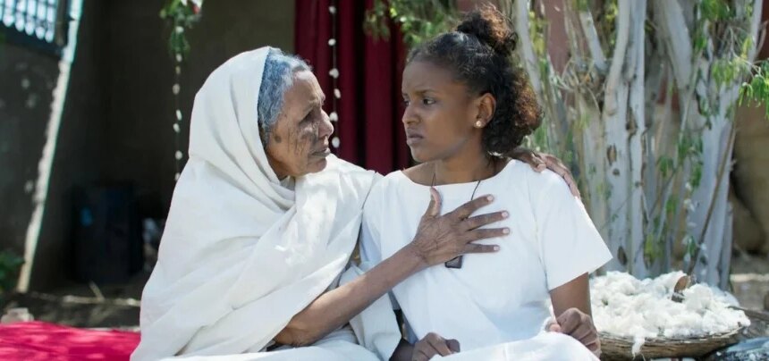 ملكة القطن: رحلة من حقول السودان إلى العالمية 1 ملكة القطن: رحلة من حقول السودان إلى العالمية